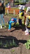 BIEDRONECZKI W OGRÓDKU_8