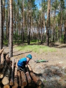 Biedronki - praca zdalna - czerwiec 2020_5