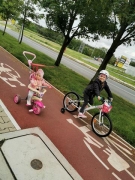 Biedronki - praca zdalna - czerwiec 2020_7