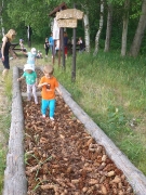 BIEDRONKI W BORÓWKACH_1