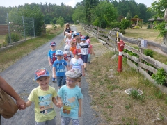 BIEDRONKI W BORÓWKACH_2