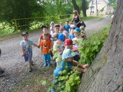 BIEDRONKI W BORÓWKACH_3