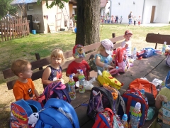 BIEDRONKI W BORÓWKACH 