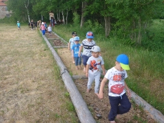 BIEDRONKI W BORÓWKACH_9