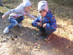 Biedronki w lesie_10