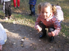 Biedronki w lesie_12