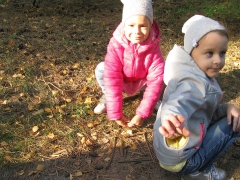 Biedronki w lesie_13