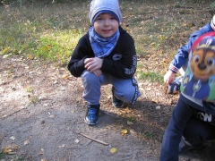 Biedronki w lesie_7