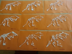 DINOZAURY U KRASNALI_4