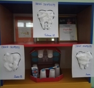Dzień Dentysty u Biedronek_5