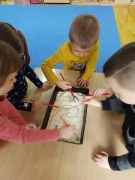 Dzień Dinozaura - Motylki_4