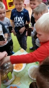 Jesienią sady się rumienią_9