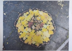 Międzyprzedszkolny Konkurs Ekologiczno-plastyczny pt.,,Land-Art-Sztuka Ziemi
