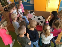 NA WSI - DOJENIE KROWY SMERFY 2019_4