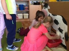 NA WSI - DOJENIE KROWY SMERFY 2019_9