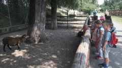 PARK KRASNALA_10