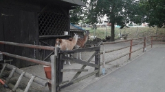 PARK KRASNALA_2