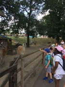 PARK KRASNALA_77