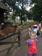 PARK KRASNALA_78