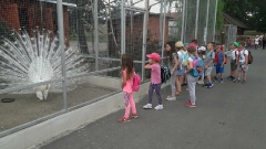 PARK KRASNALA_7
