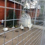 PARK KRASNALA_81