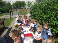 PLENER MALARSKI U BIEDRONEK_6