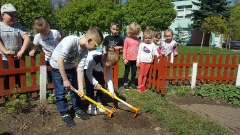 PRACE W OGRÓDKU - SMERFY_10