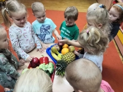 Pszczółki poznają owoce i warzywa_1