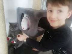 Razem na odległość - Gumisie - 01-10.04.2020