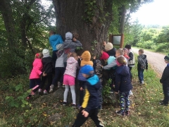 Sprzątanie świata- Gumisie_4