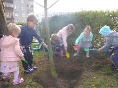 Święto Drzewa Biedronki_15