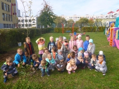 Święto Drzewa Biedronki_19