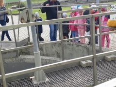 WYCIECZKA DO OCZYSZCZALNI ŚCIEKÓW- GUMISIE_1