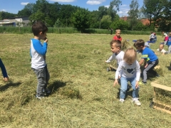 Wycieczka 