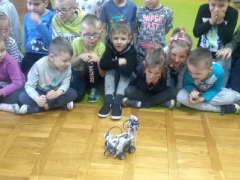 ZAJĘCIA Z ROBOTYKI GUMISIE 2019_8