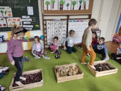 Zajęcia z wykorzystaniem darów jesieni- Gumisie
